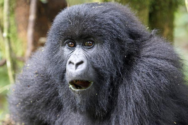 Mit Benny Rebel in Afrika: Foto-Abenteuer-Safari