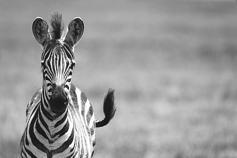 Reisebericht Benny Rebel