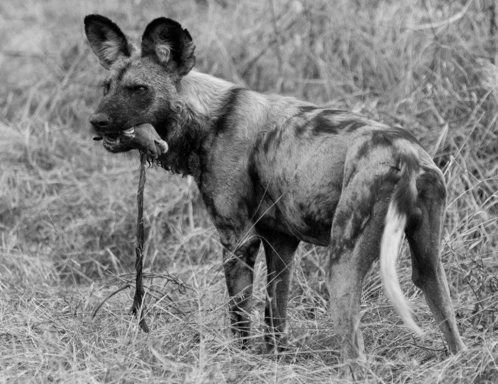 Reisebericht Benny Rebel