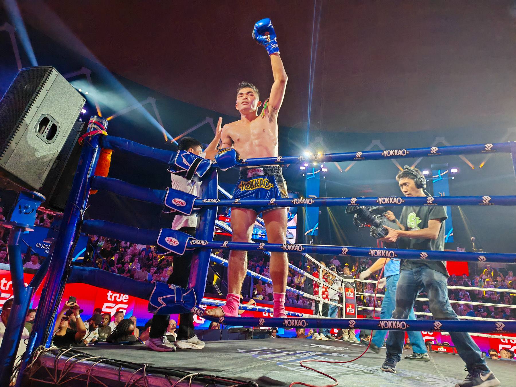 Es gab insgesamt acht Kämpfe, sieben davon endeten in einem Triumph der Punkte, nur einer – ein fast epischer Moment – wurde durch einen Schlag, der die Zeit selbst für einen Augenblick erstarren ließ, in nur 57 Sekunden entschieden.