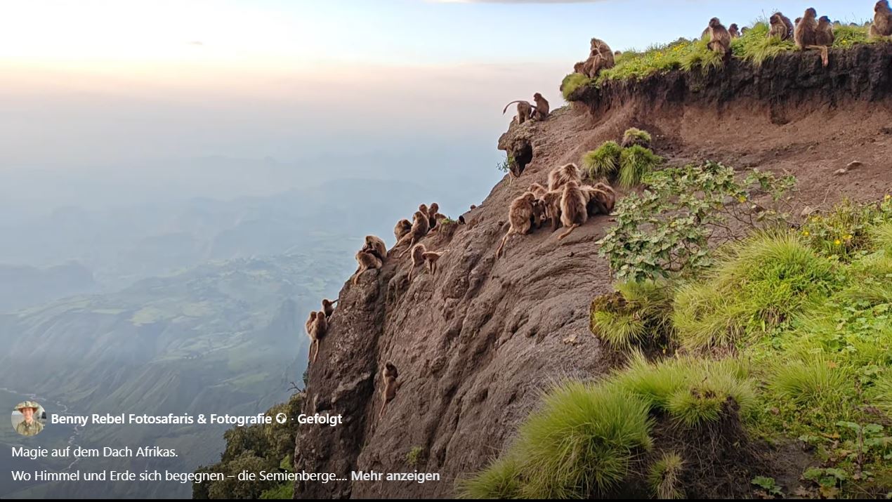 Die Semienberge in Äthiopien sind ein solcher Ort – wild, ursprünglich und von einer stillen Erhabenheit, die das Herz weit werden lässt.