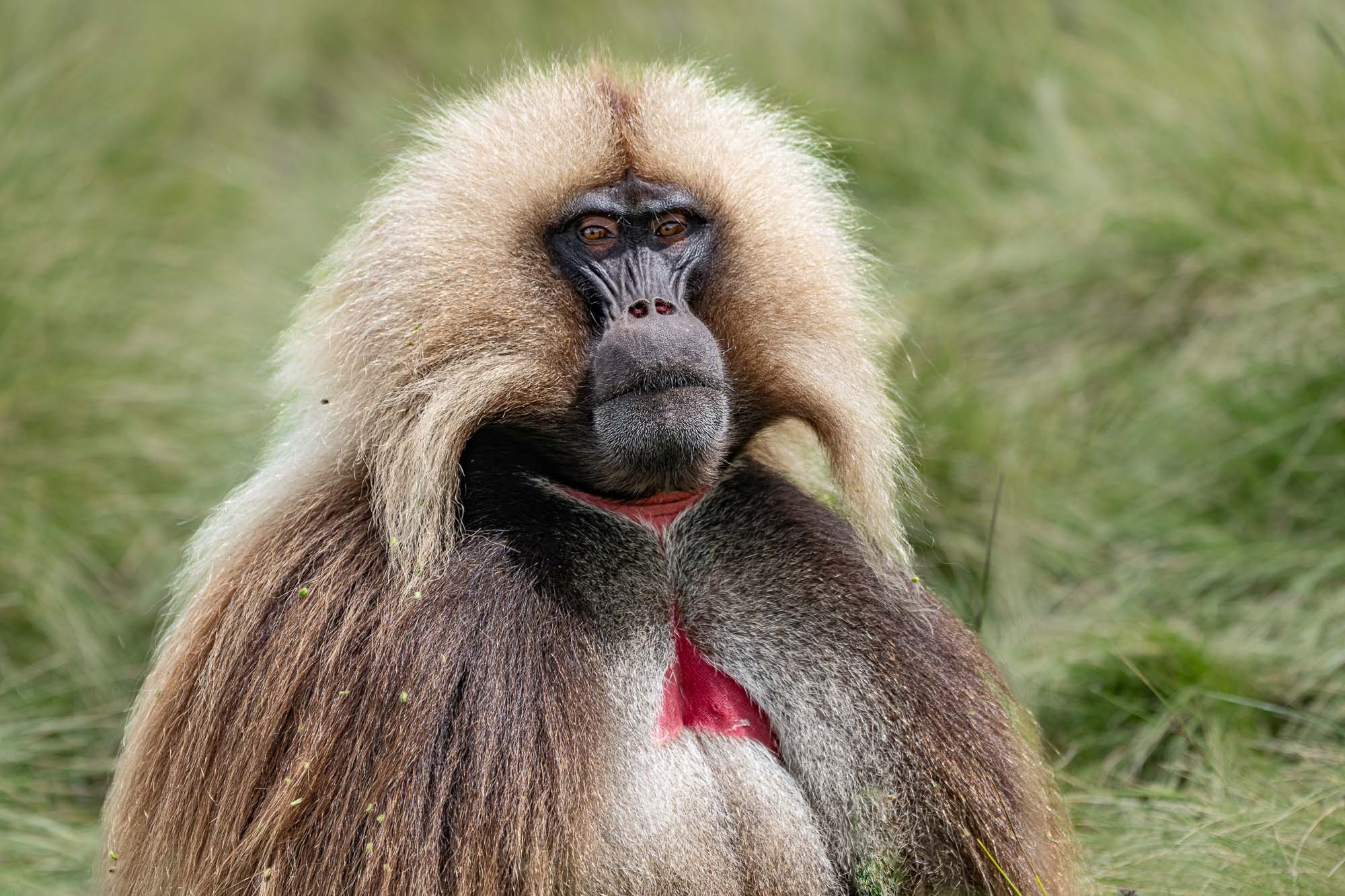 Fotoreise mit Benny Rebel Fotosafaris GmbH aus Hannover. Fotoreise durch die Wildnis Äthiopiens. Fotoworkshop und Naturfotografie.