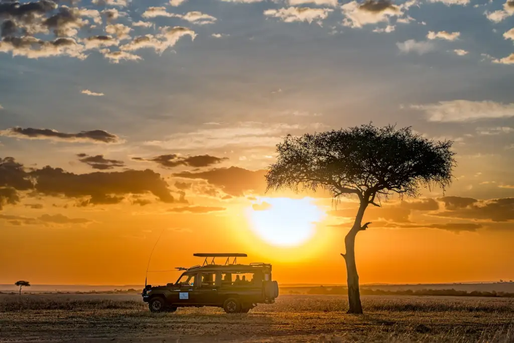 ein baum und ein safariauto fotografiert auf einer fotoreise von benny rebel in afrika.