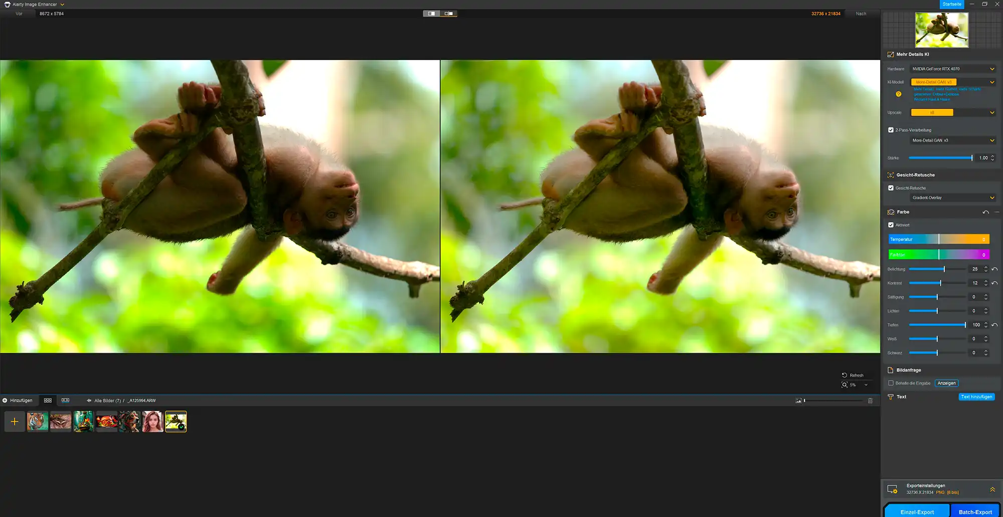 Aiarty Software Empfehlung